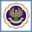 Institute of Chartered Accountants India