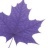 Wilfrid Laurier University