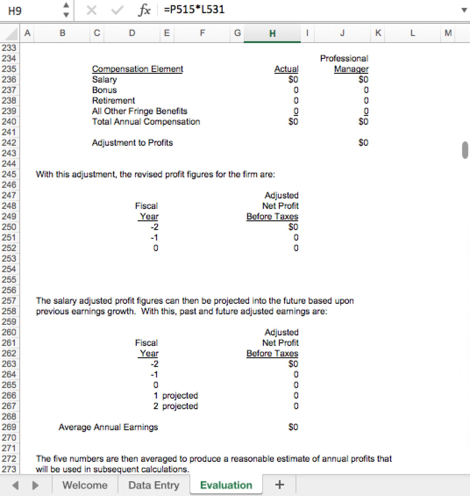 Business Valuation Excel Template for Private Equity Eloquens
