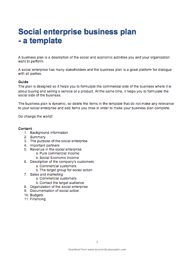 social development business plan template