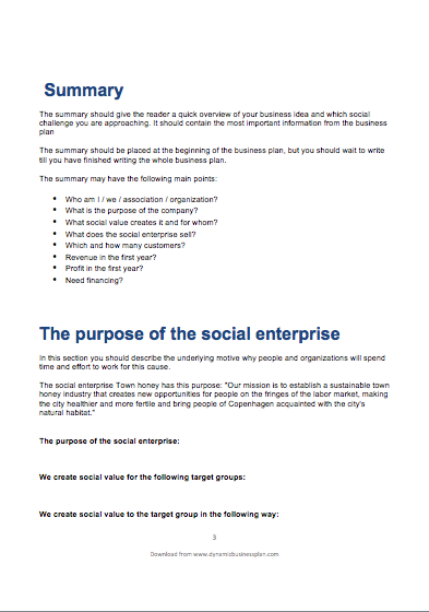 Social Enterprise Business Plan Template Eloquens