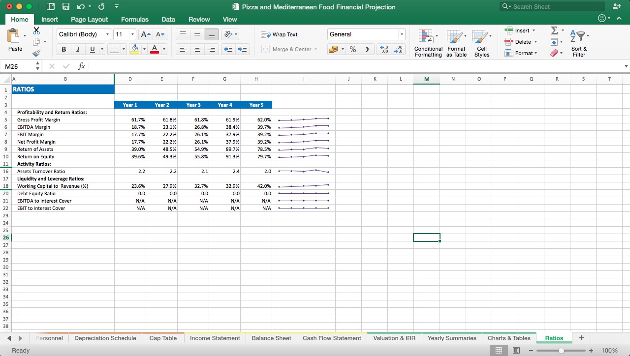 Pizza and Mediterranean Food Financial Projections - Eloquens