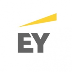 EY, Building a Better Working World