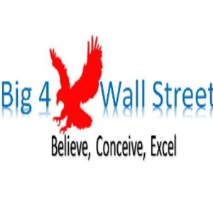 Big4WallStreet, Financial Modeling Professional Services