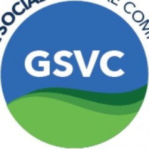 GSVC, Helping Entrepreneurs Transform Their Businesses