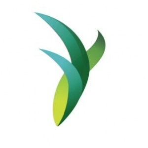 Seraf, Seraf provides insights, news and in-depth resources for early stage investors Seraf, Seraf provides insights, news and in-depth resources for early stage investors