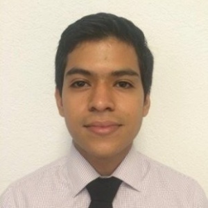 Yimerson Tobias, Financial Analyst