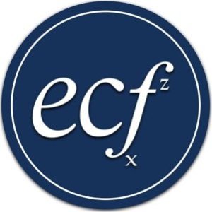 ECF Consultancy, Executive Corporate and Financial Consultancy