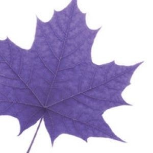Wilfrid Laurier University, Inspiring Lives. Wilfrid Laurier University, Inspiring Lives.