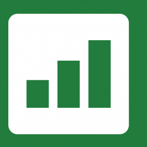 Rate My Excel, World's best Excel hiring assessments