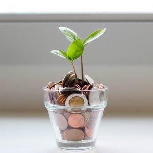 ASH2256, Investor. Former IB professional at a bulge bracket bank and a M&A boutique ASH2256, Investor. Former IB professional at a bulge bracket bank and a M&A boutique