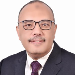 ALI AMER, CTP, Former Head of Treasury (CTP)| Treasury Policies, Cash Management, Liquidity & FX Risk Specialist ALI AMER, CTP, Former Head of Treasury (CTP)| Treasury Policies, Cash Management, Liquidity & FX Risk Specialist