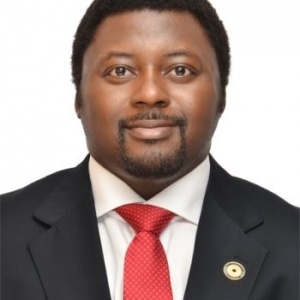 Desmond Agboifo, Expert Petroleum and gas Economics Advisor