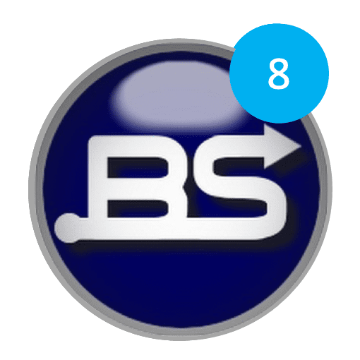 BS8