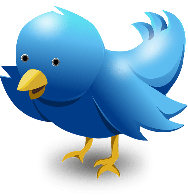 twitter-117595_641