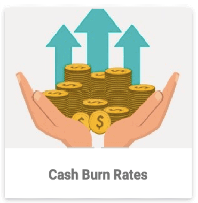 Cash Burn Rates Eloquens