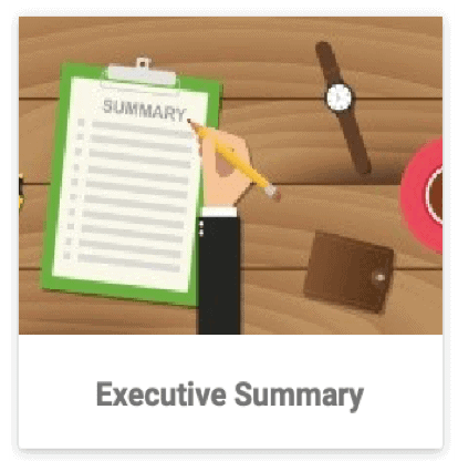ExecutiveSummary