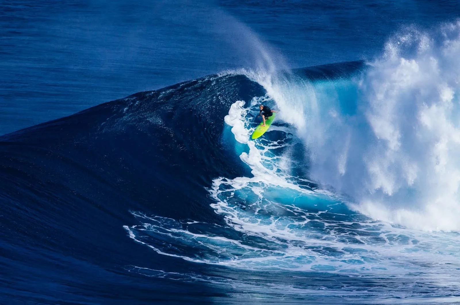 Surfing the Wave - Eloquens