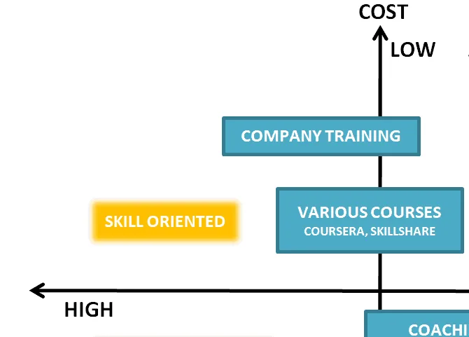 Skill oriented: affordable training but requiring a long time input