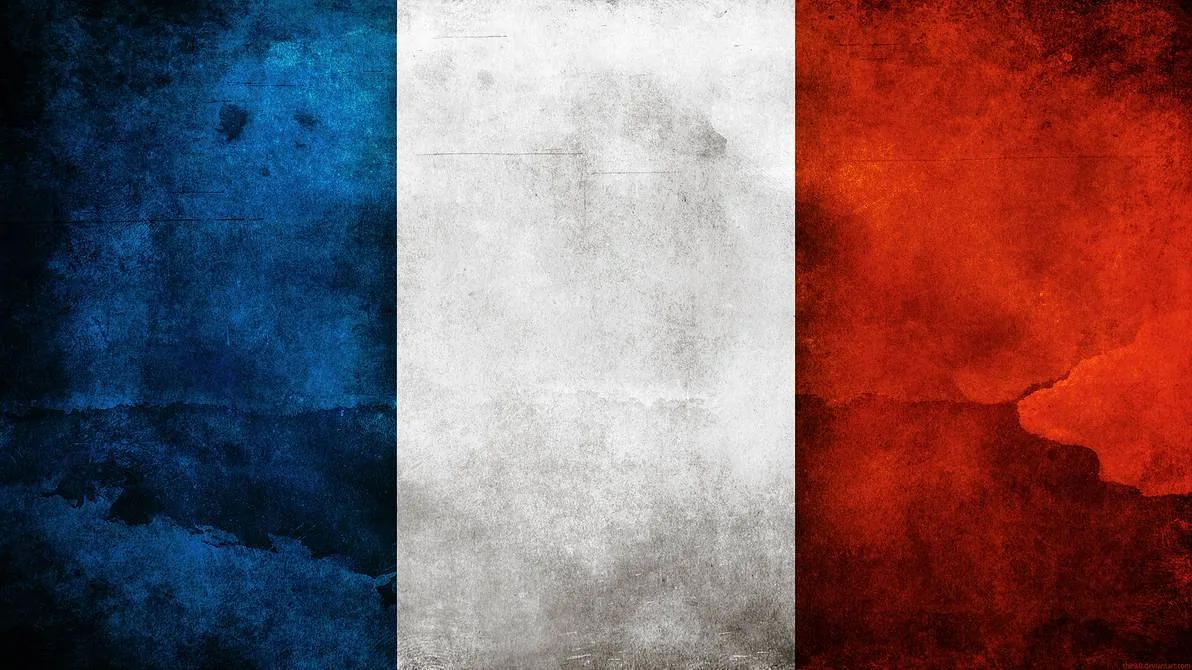 france_flag_by_think0_d563k6e-pre
